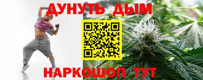 сатива Краснознаменск
